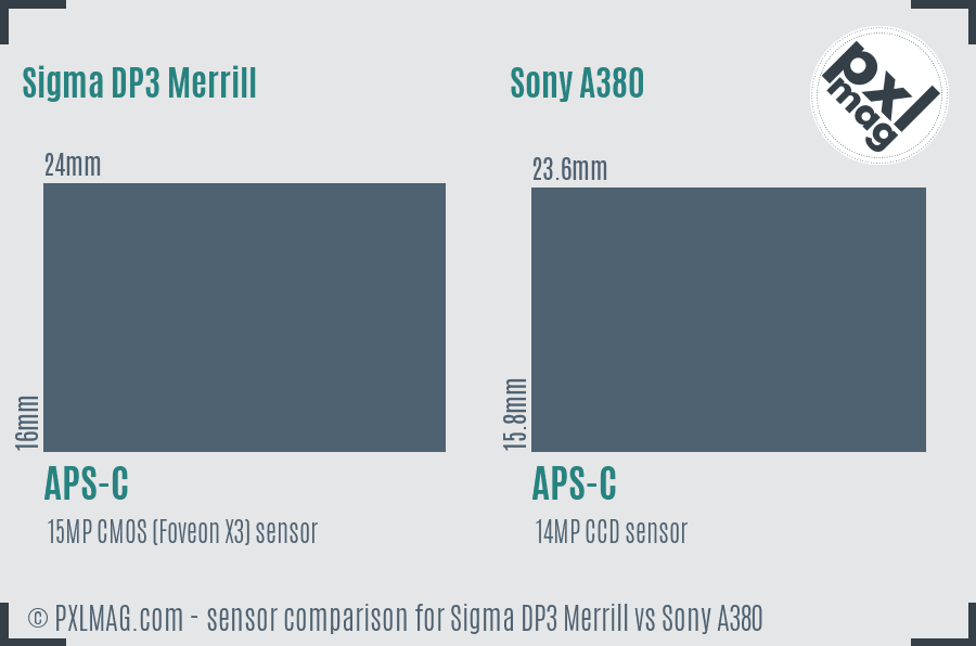Sigma DP3 Merrill vs Sony A380 sensor size comparison