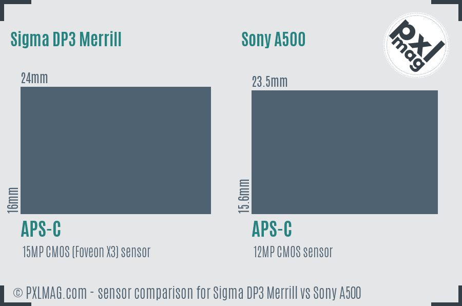 Sigma DP3 Merrill vs Sony A500 sensor size comparison Sigma DP3 Merrill vs Sony A500 sensor size comparison