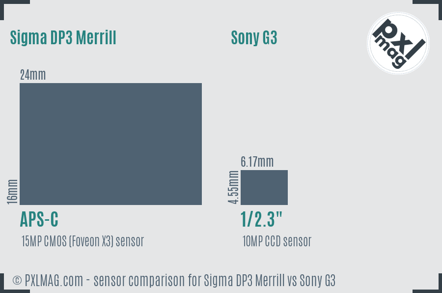 Sigma DP3 Merrill vs Sony G3 sensor size comparison