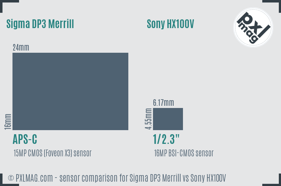 Sigma DP3 Merrill vs Sony HX100V sensor size comparison