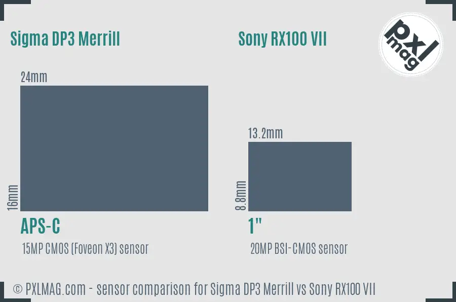 Sigma DP3 Merrill vs Sony RX100 VII sensor size comparison