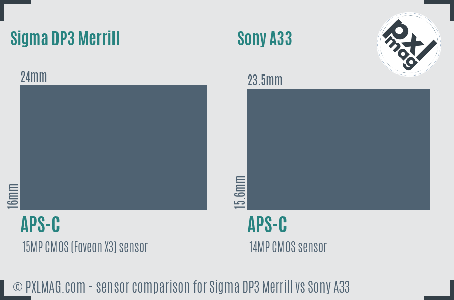 Sigma DP3 Merrill vs Sony A33 sensor size comparison