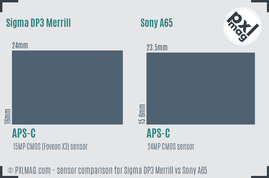 Sigma DP3 Merrill vs Sony A65 sensor size comparison