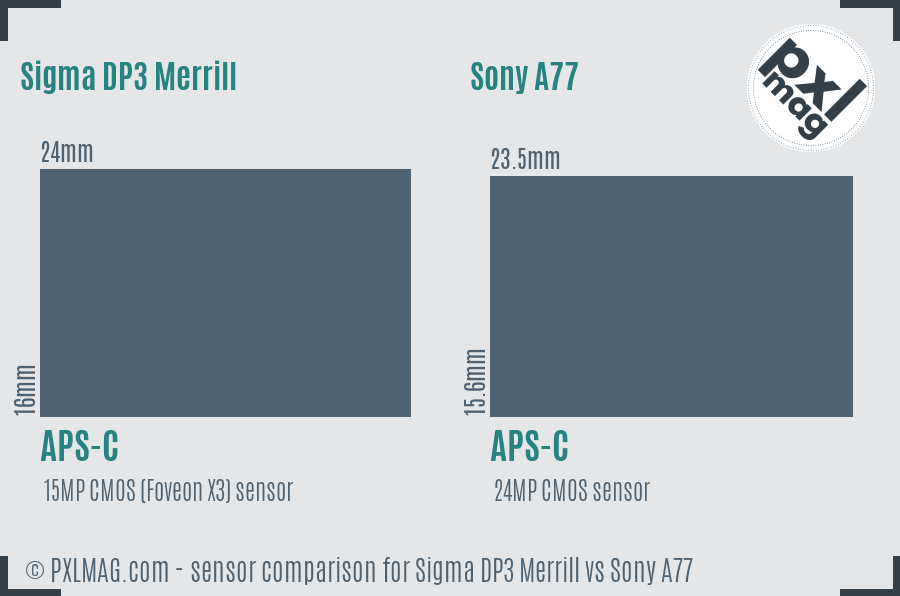 Sigma DP3 Merrill vs Sony A77 sensor size comparison