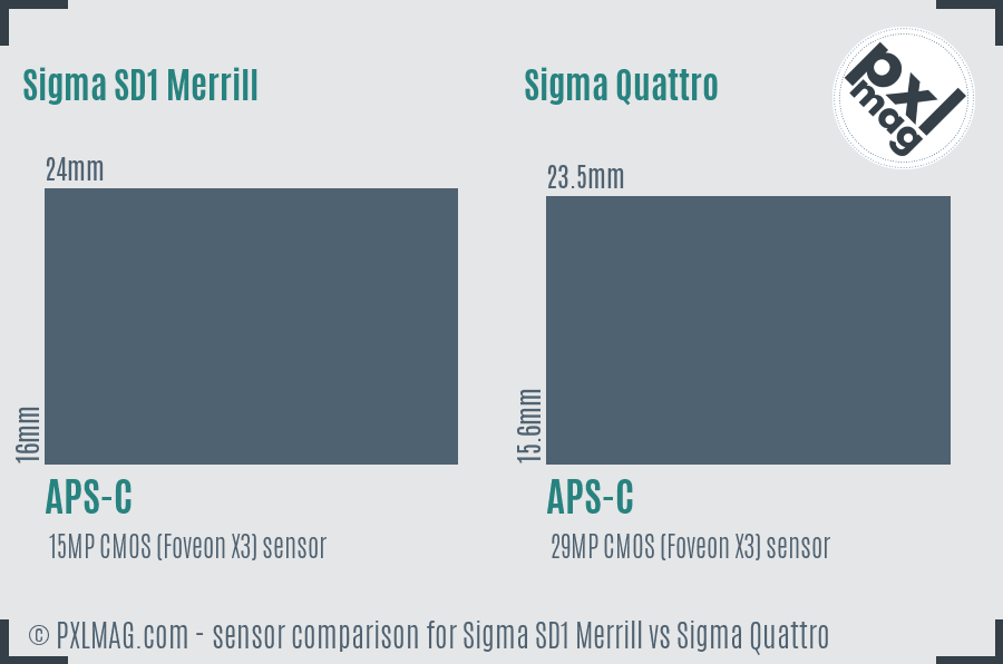 Sigma SD1 Merrill vs Sigma Quattro sensor size comparison