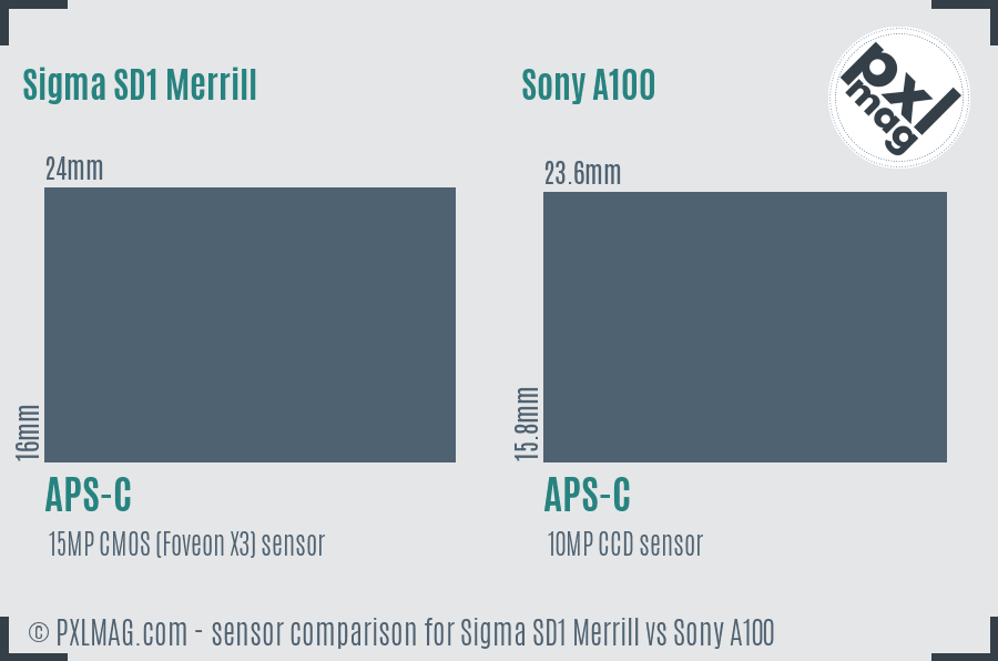 Sigma SD1 Merrill vs Sony A100 sensor size comparison
