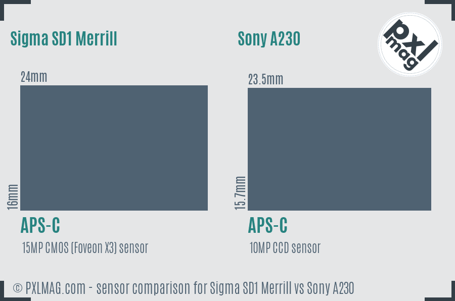 Sigma SD1 Merrill vs Sony A230 sensor size comparison