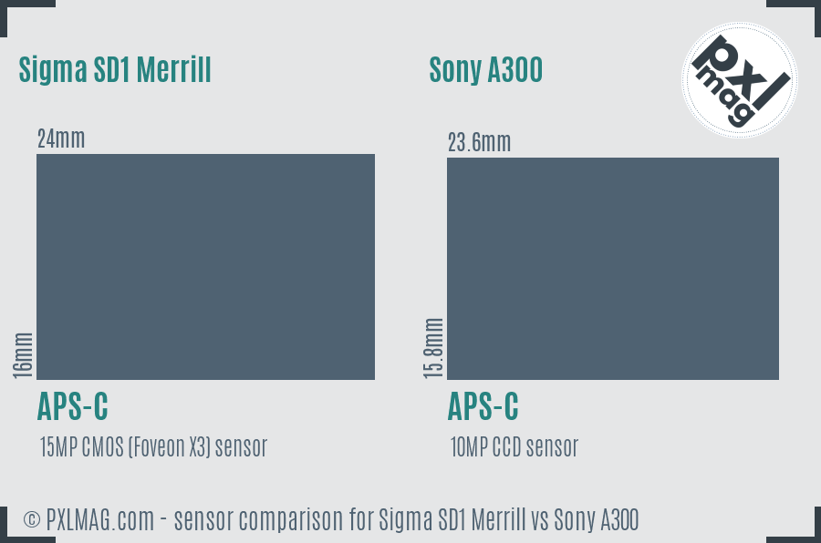 Sigma SD1 Merrill vs Sony A300 sensor size comparison