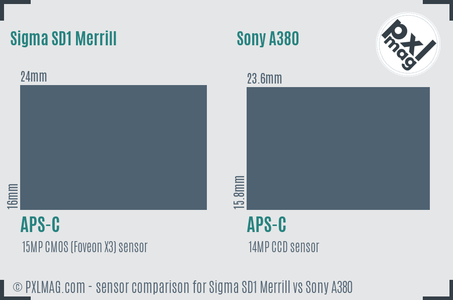 Sigma SD1 Merrill vs Sony A380 sensor size comparison Sigma SD1 Merrill vs Sony A380 sensor size comparison