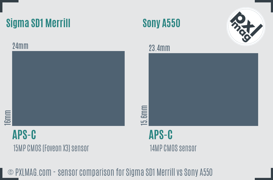 Sigma SD1 Merrill vs Sony A550 sensor size comparison