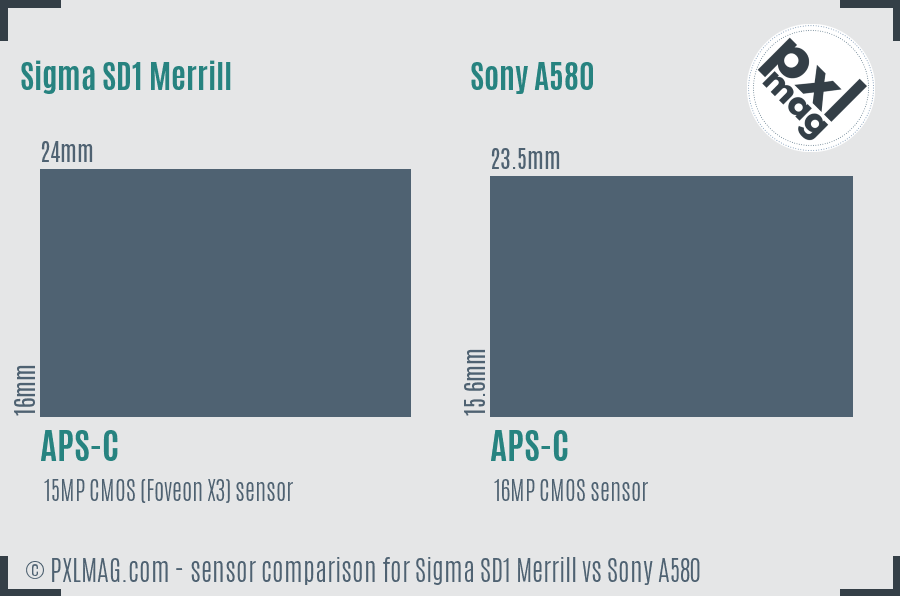 Sigma SD1 Merrill vs Sony A580 sensor size comparison