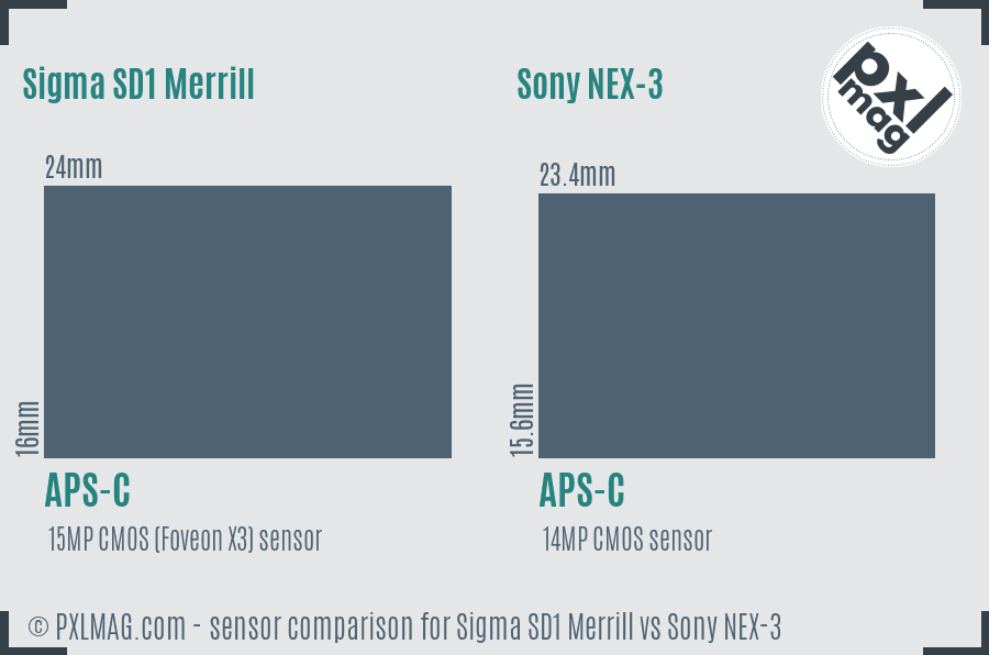 Sigma SD1 Merrill vs Sony NEX-3 sensor size comparison