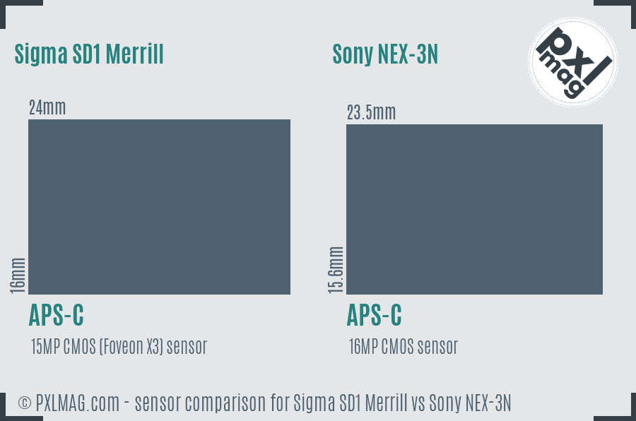 Sigma SD1 Merrill vs Sony NEX-3N sensor size comparison Sigma SD1 Merrill vs Sony NEX-3N sensor size comparison