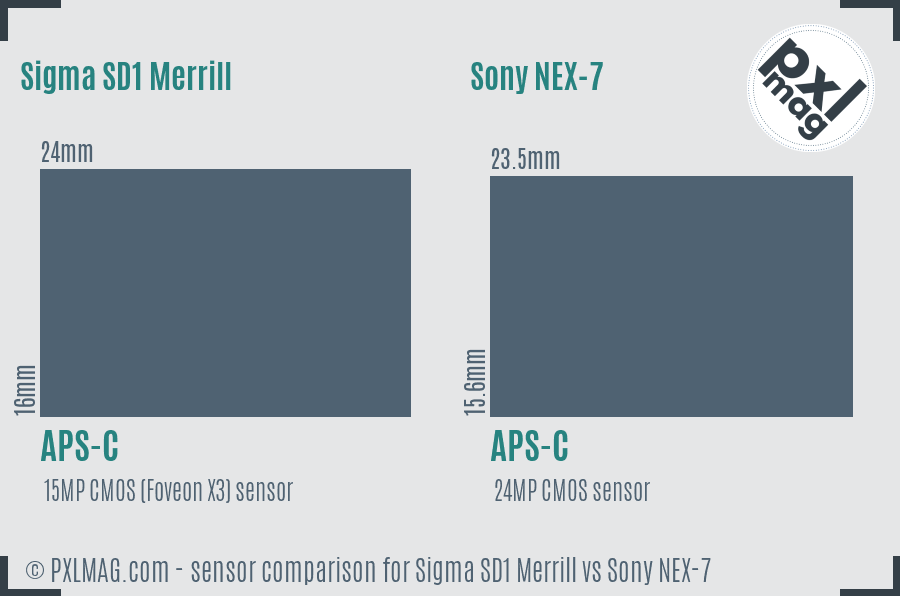 Sigma SD1 Merrill vs Sony NEX-7 sensor size comparison