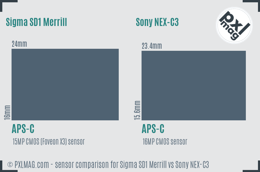 Sigma SD1 Merrill vs Sony NEX-C3 sensor size comparison
