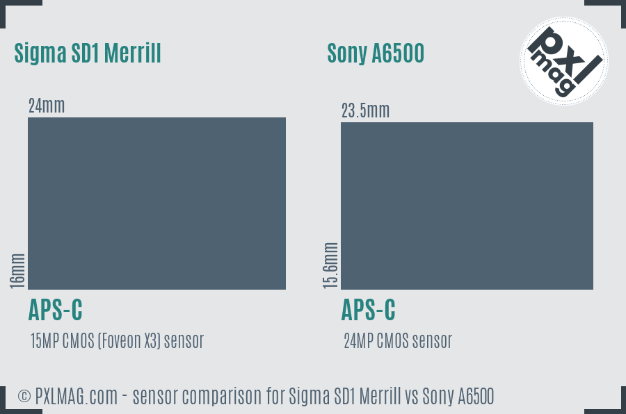 Sigma SD1 Merrill vs Sony A6500 sensor size comparison