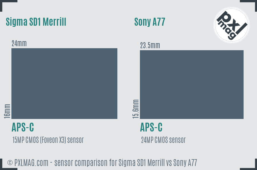 Sigma SD1 Merrill vs Sony A77 sensor size comparison