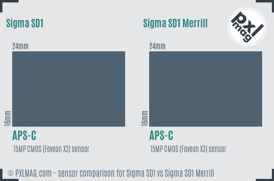 Sigma SD1 vs Sigma SD1 Merrill sensor size comparison