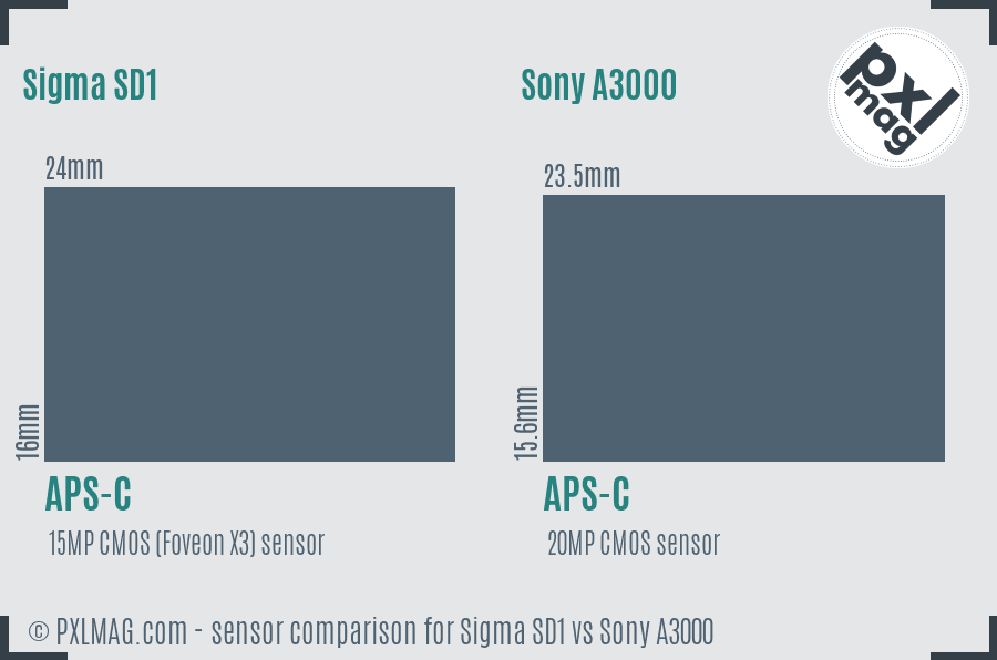 Sigma SD1 vs Sony A3000 sensor size comparison
