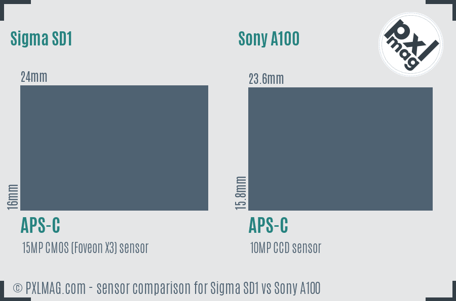 Sigma SD1 vs Sony A100 sensor size comparison