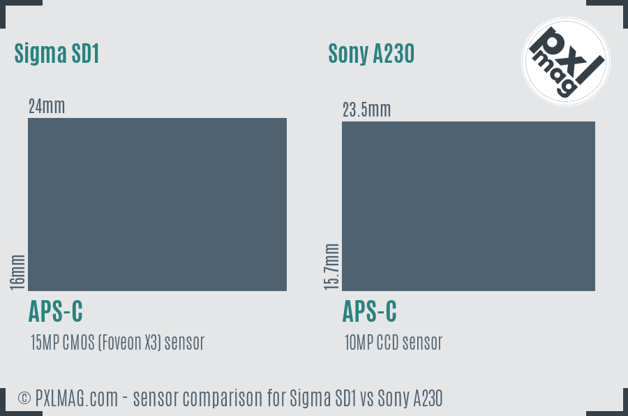 Sigma SD1 vs Sony A230 sensor size comparison