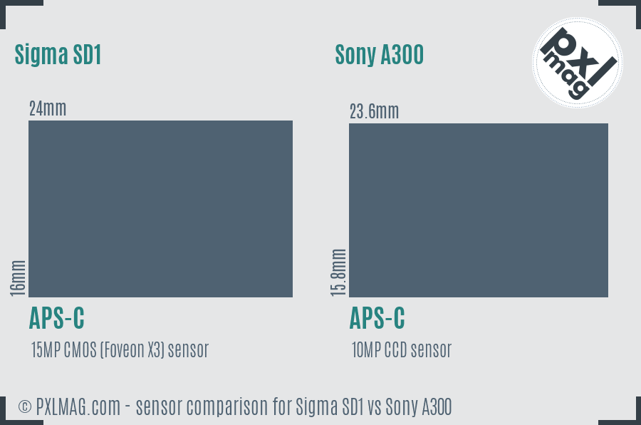 Sigma SD1 vs Sony A300 sensor size comparison