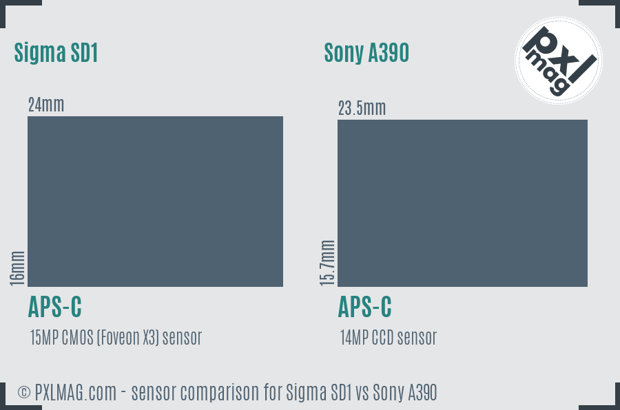 Sigma SD1 vs Sony A390 sensor size comparison