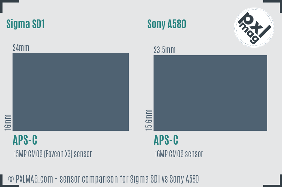 Sigma SD1 vs Sony A580 sensor size comparison