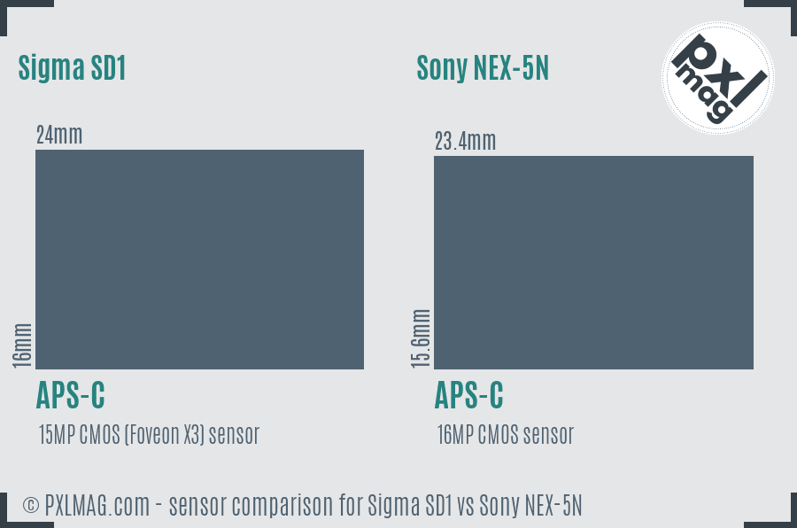Sigma SD1 vs Sony NEX-5N sensor size comparison