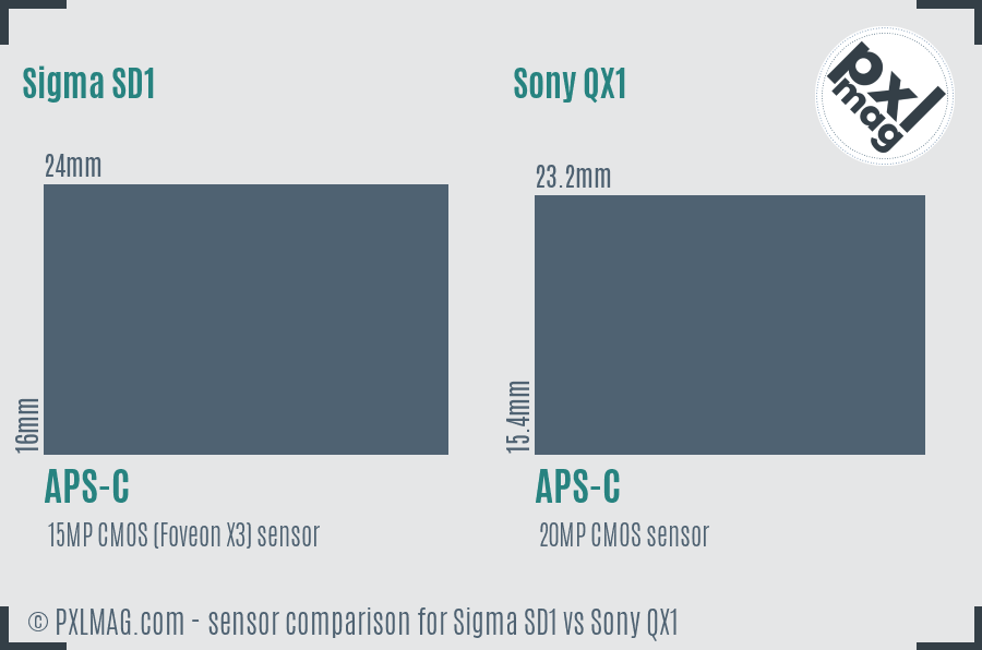 Sigma SD1 vs Sony QX1 sensor size comparison Sigma SD1 vs Sony QX1 sensor size comparison