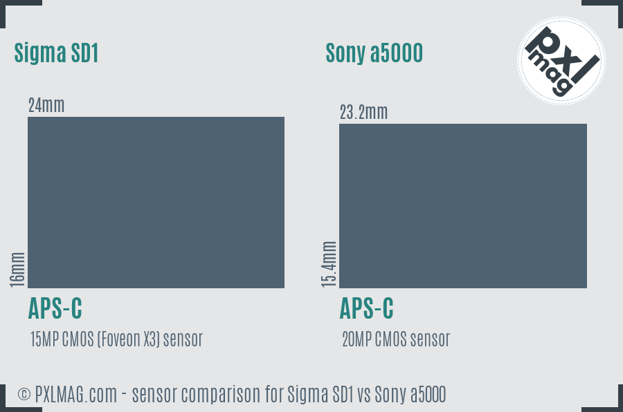 Sigma SD1 vs Sony a5000 sensor size comparison