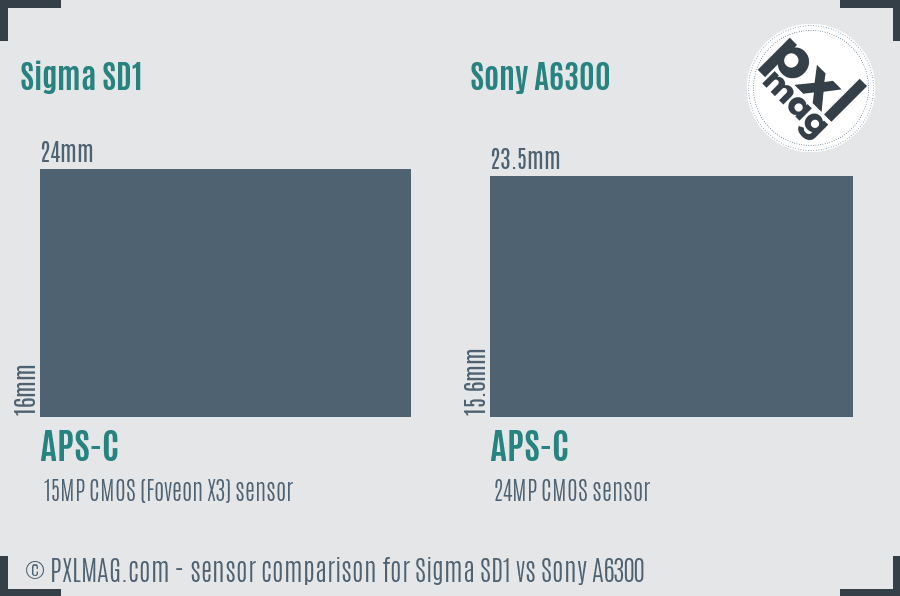 Sigma SD1 vs Sony A6300 sensor size comparison