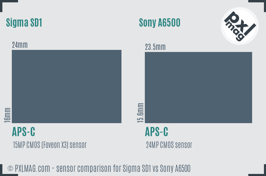 Sigma SD1 vs Sony A6500 sensor size comparison