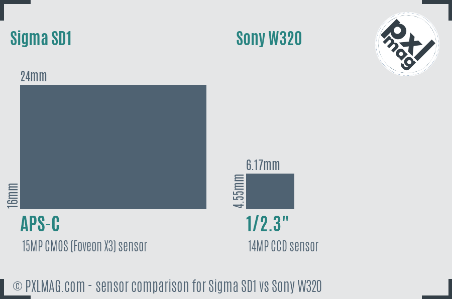 Sigma SD1 vs Sony W320 sensor size comparison