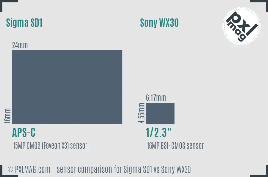 Sigma SD1 vs Sony WX30 sensor size comparison