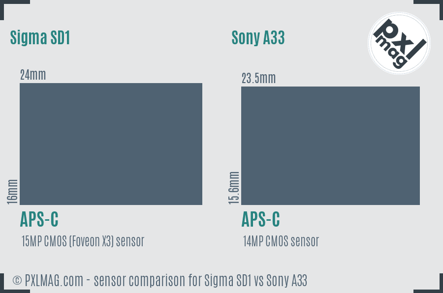 Sigma SD1 vs Sony A33 sensor size comparison