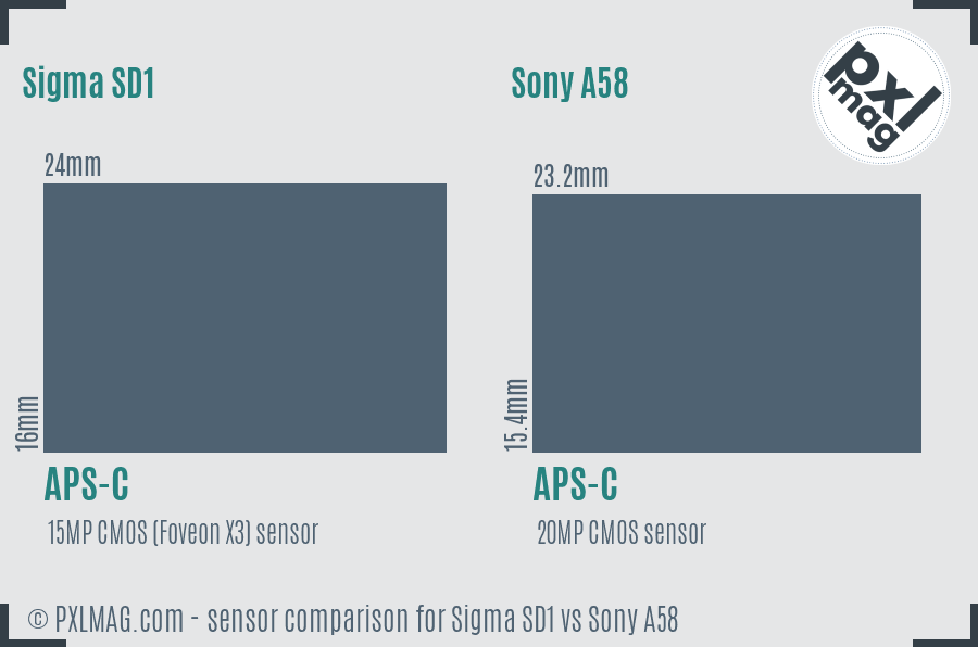 Sigma SD1 vs Sony A58 sensor size comparison