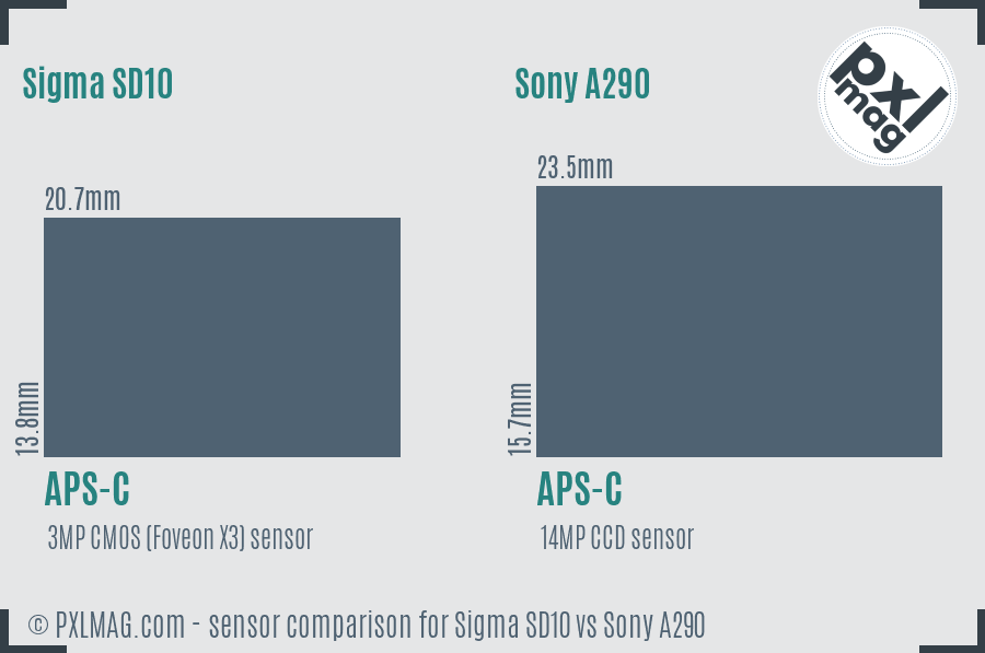 Sigma SD10 vs Sony A290 sensor size comparison