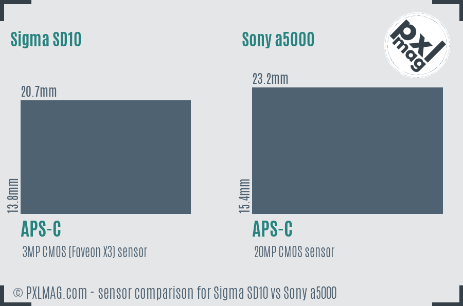Sigma SD10 vs Sony a5000 sensor size comparison