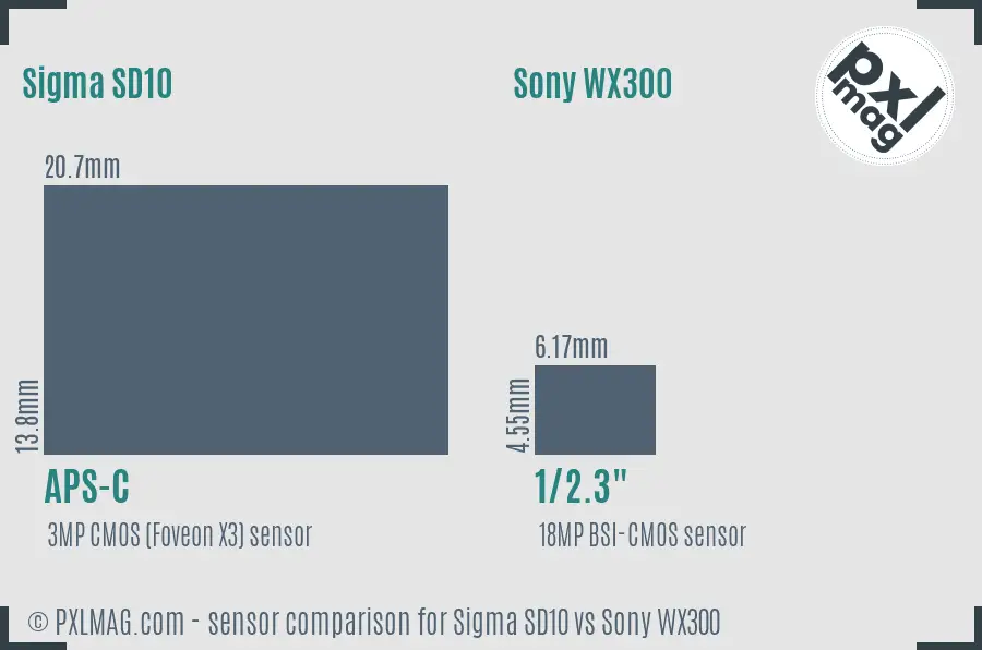 Sigma SD10 vs Sony WX300 sensor size comparison