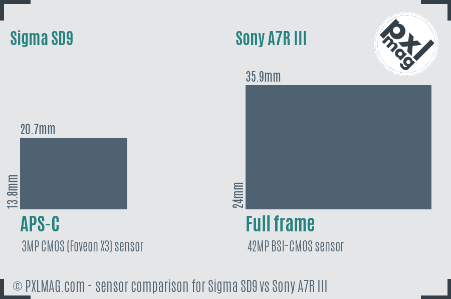 Sigma SD9 vs Sony A7R III sensor size comparison