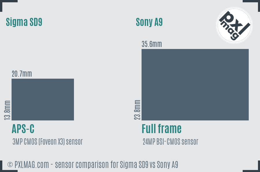 Sigma SD9 vs Sony A9 sensor size comparison