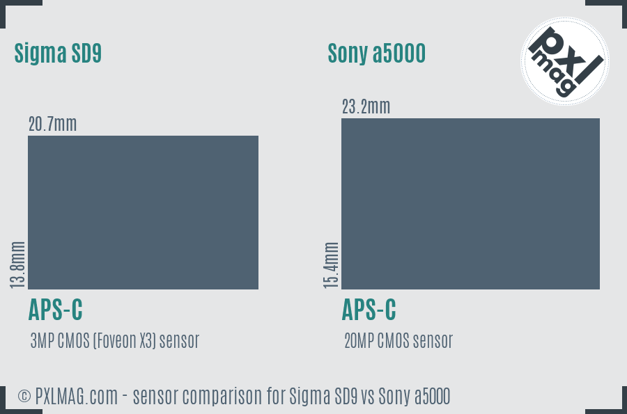 Sigma SD9 vs Sony a5000 sensor size comparison