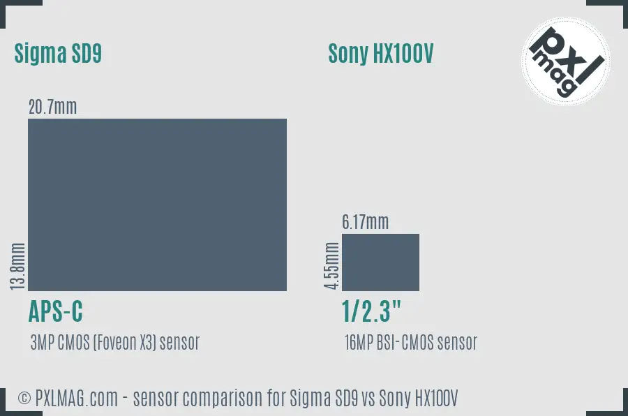 Sigma SD9 vs Sony HX100V sensor size comparison