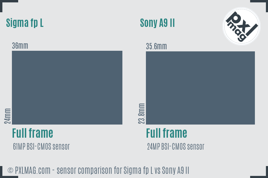 Sigma fp L vs Sony A9 II sensor size comparison