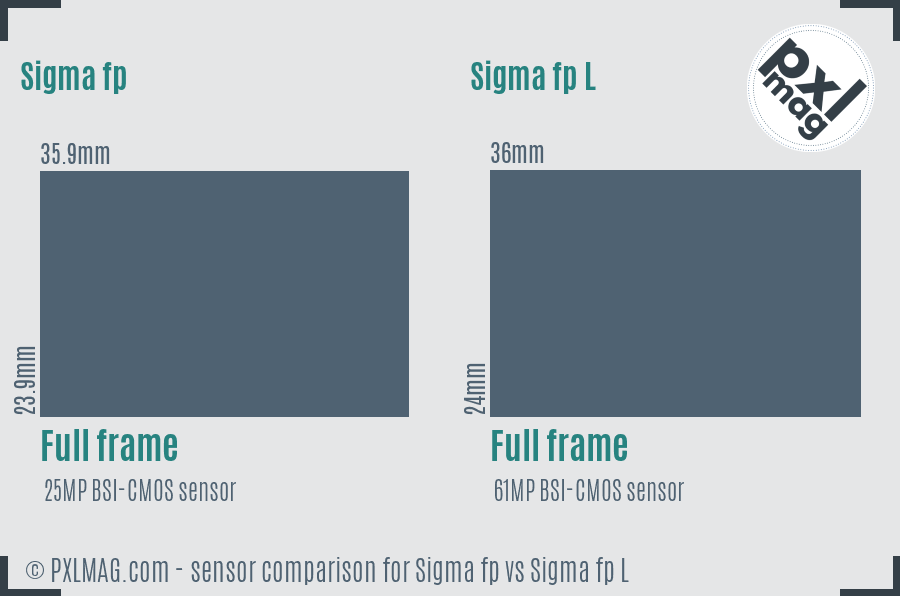 Sigma fp vs Sigma fp L sensor size comparison