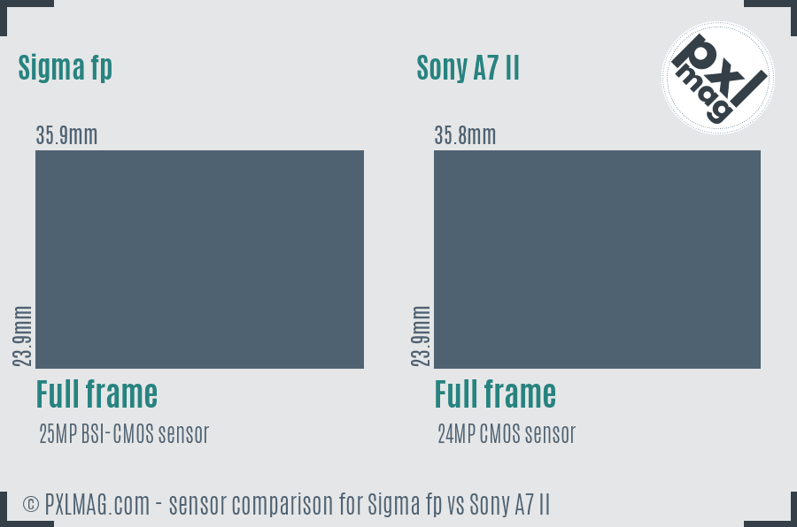 Sigma fp vs Sony A7 II sensor size comparison