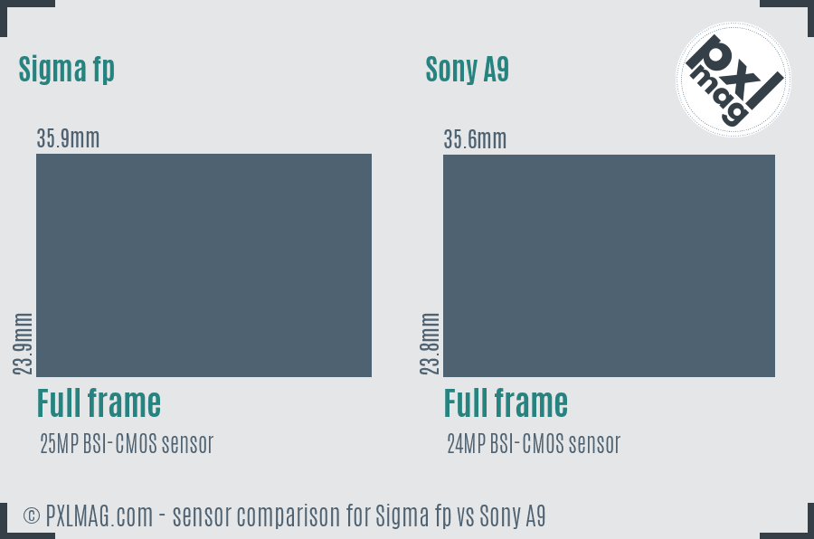 Sigma fp vs Sony A9 sensor size comparison