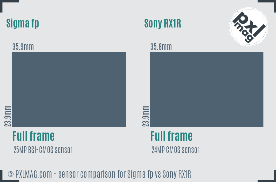 Sigma fp vs Sony RX1R sensor size comparison