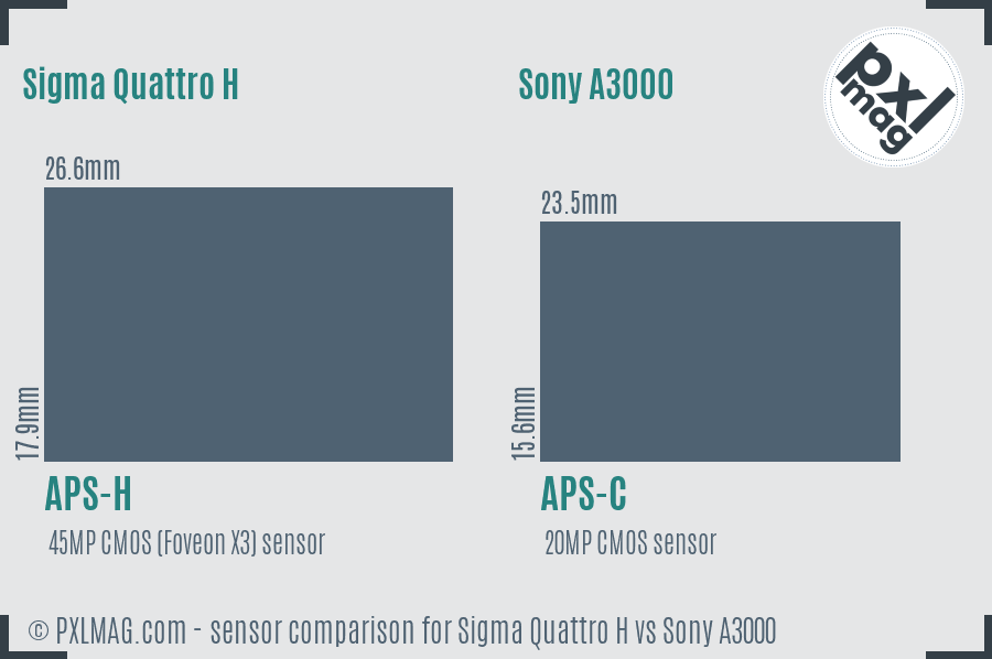 Sigma Quattro H vs Sony A3000 sensor size comparison
